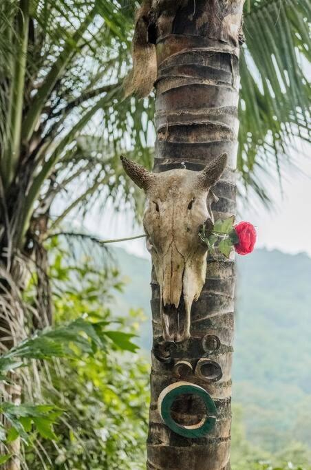 Leela Garden Bamboolove * Baan Tai