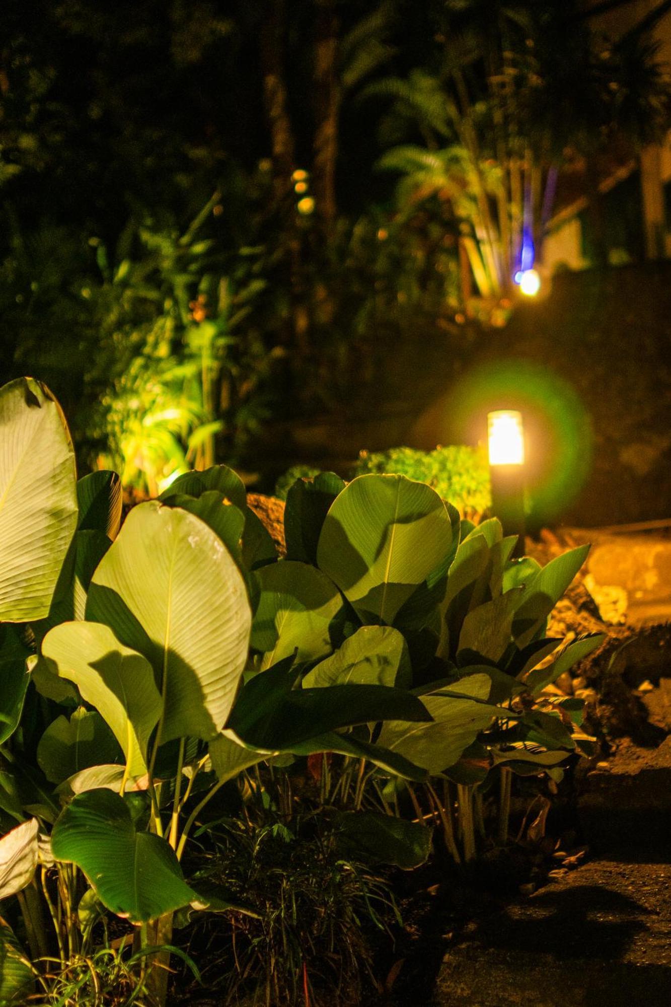 Vakantiehuis Leela Garden Bamboolove *