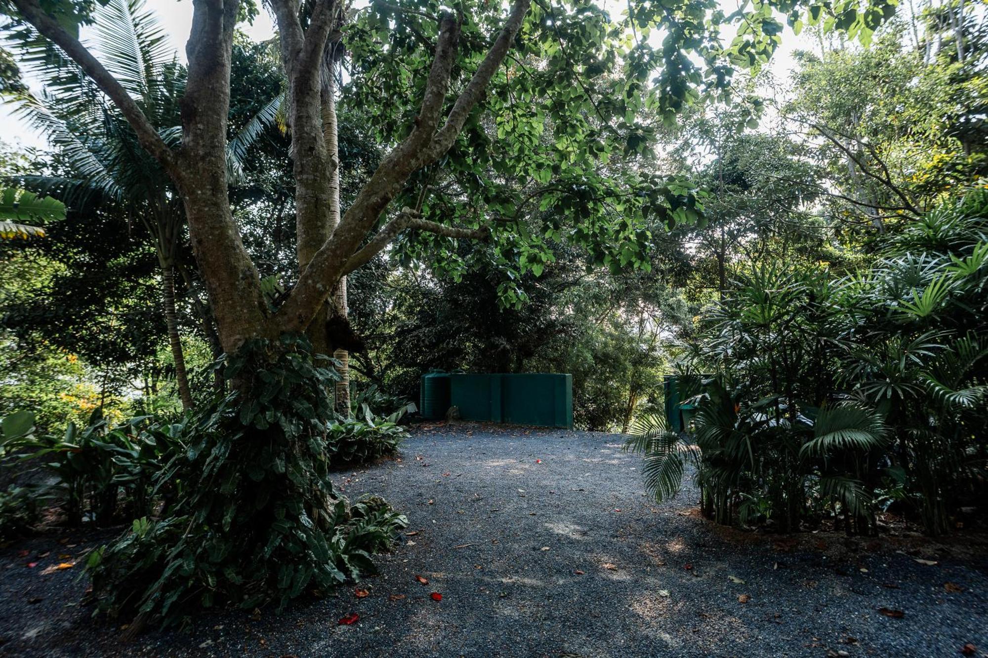 Vakantiehuis Leela Garden Bamboolove Baan Tai